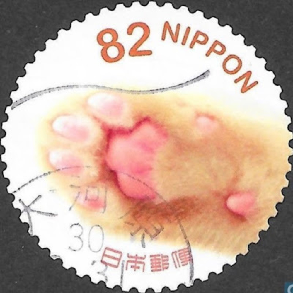 Meet your Posher, Rin